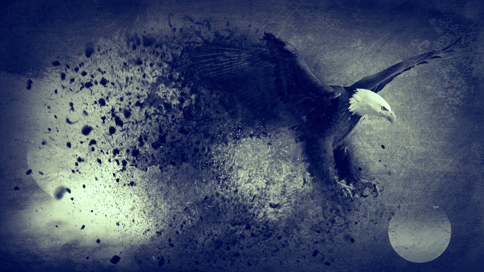 adler mond blau freiheit fliegen vogel abstrakt digitale kunst arbeit