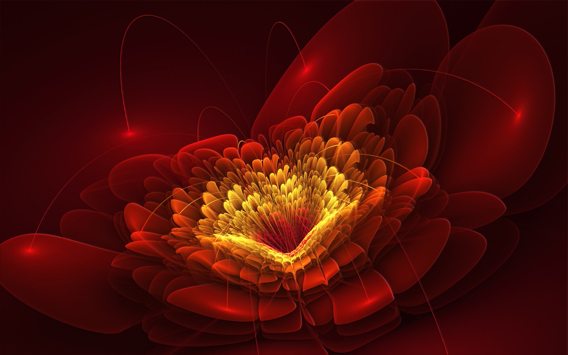 fiore petali linee rosso