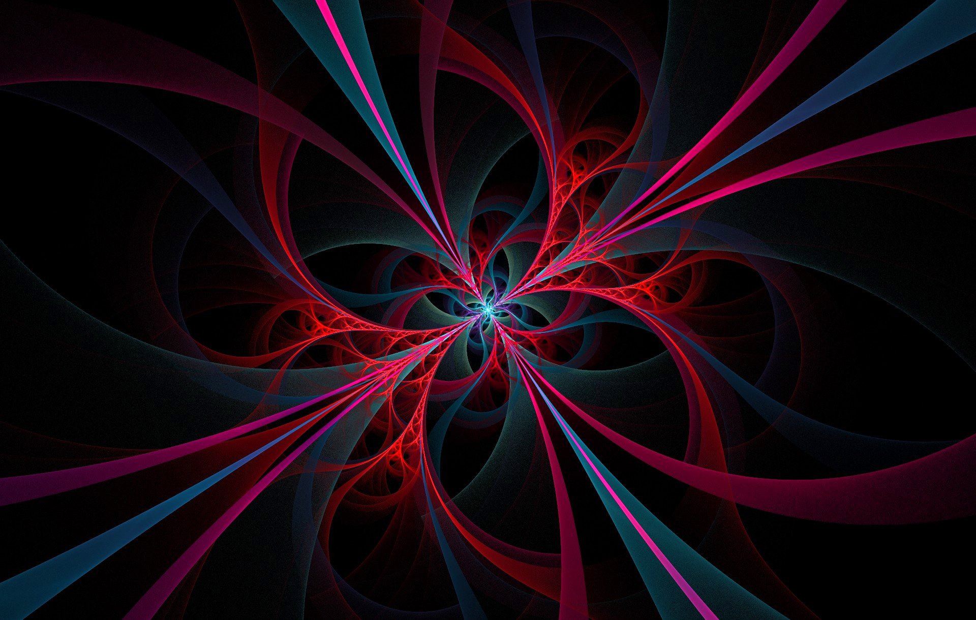 light flowers twilight line rings symmetry