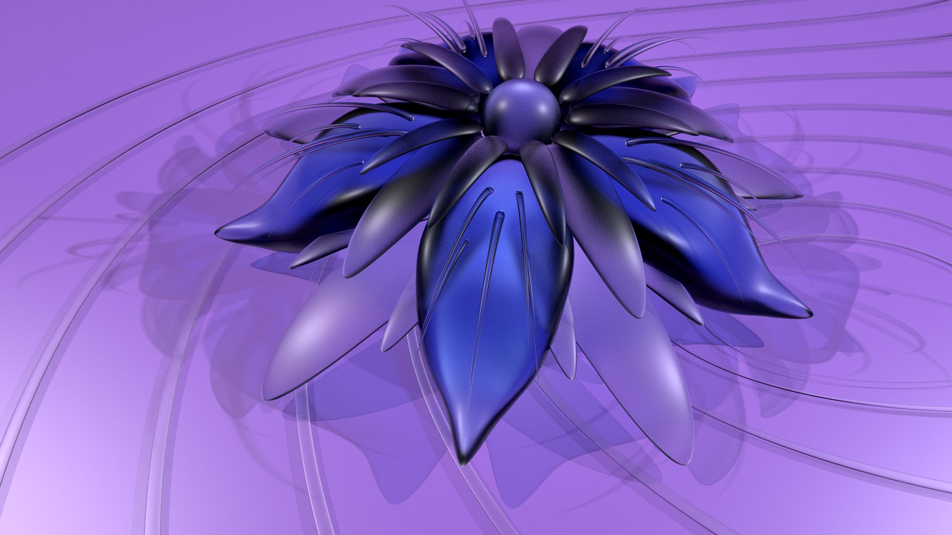 fiore petali ombra strisce