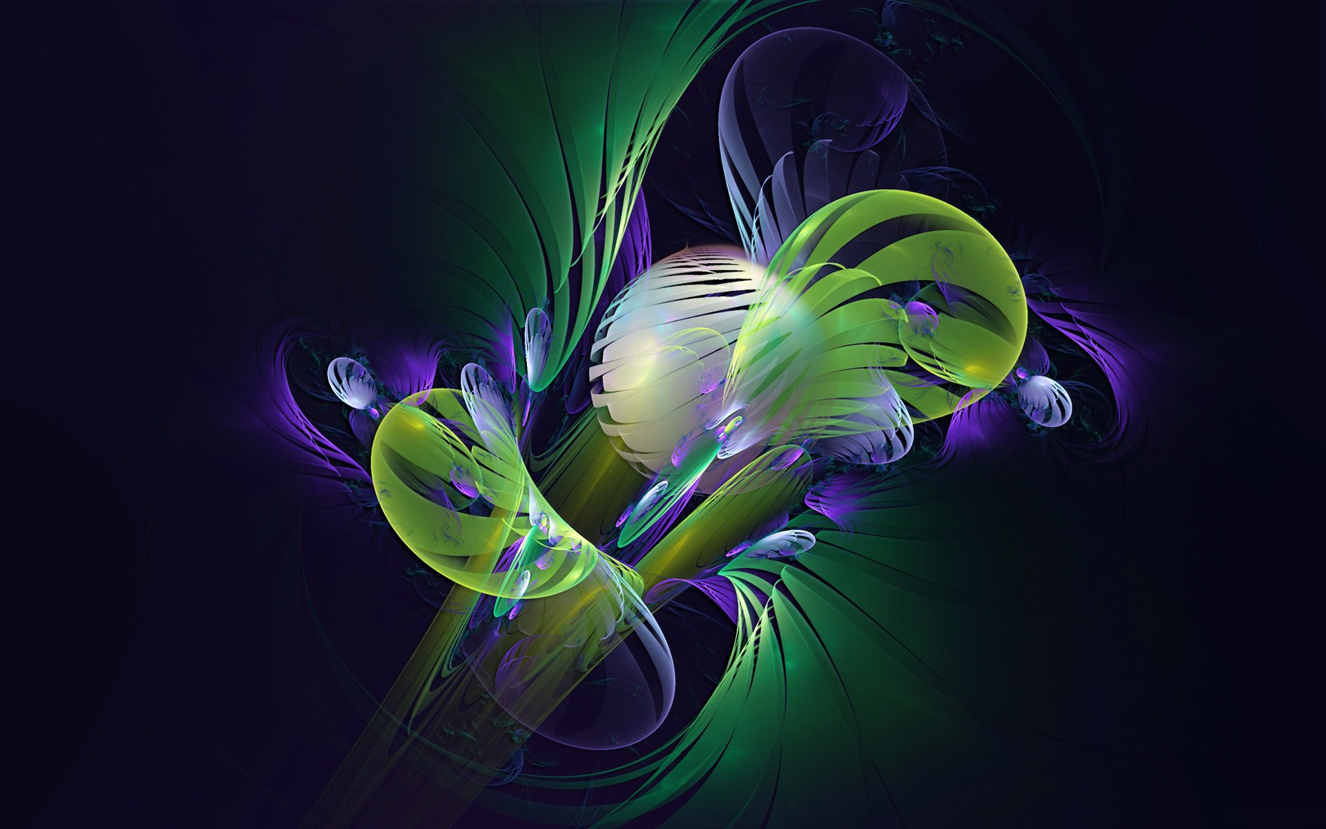 light flowers volume twilight petal