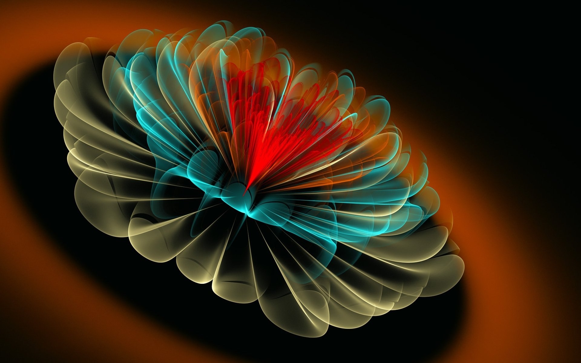flor pétalos líneas sombra fractal