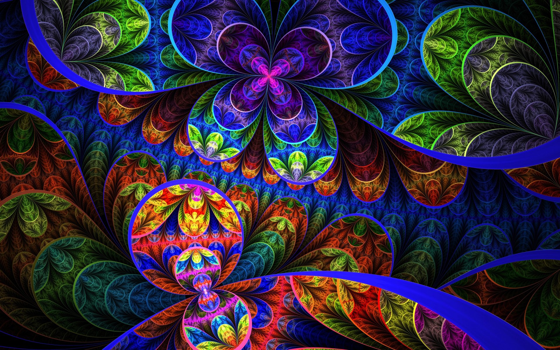 patrón flores pétalos líneas arco iris luz hojas simetría círculo anillo