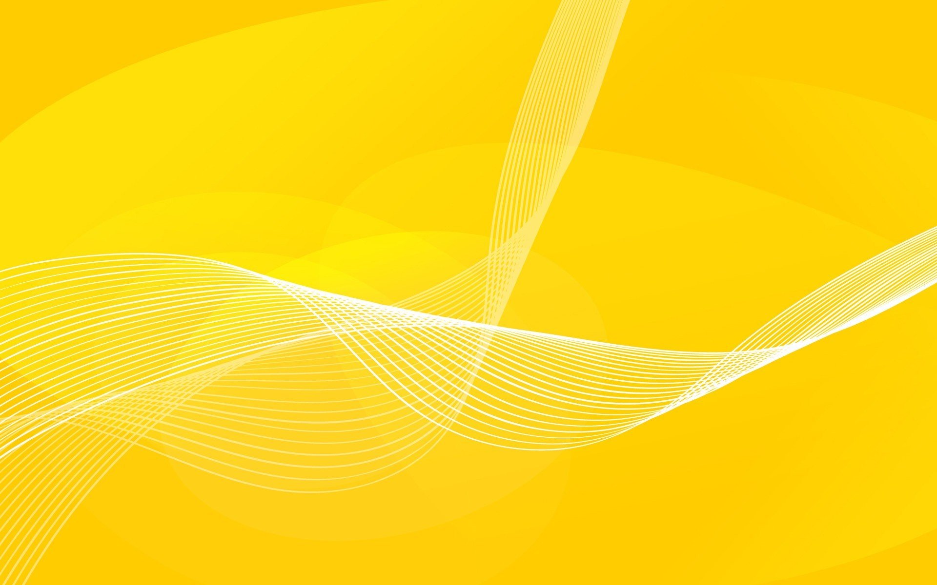 linee curve