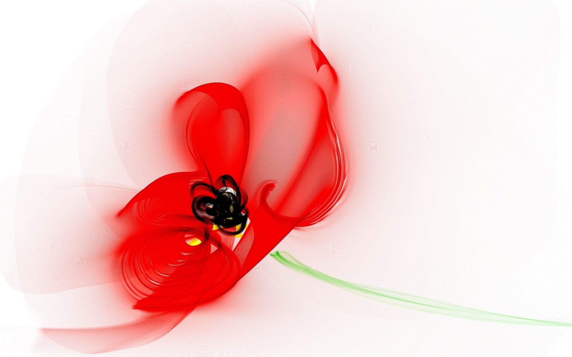 flor amapola tallo papel pintado pétalos líneas