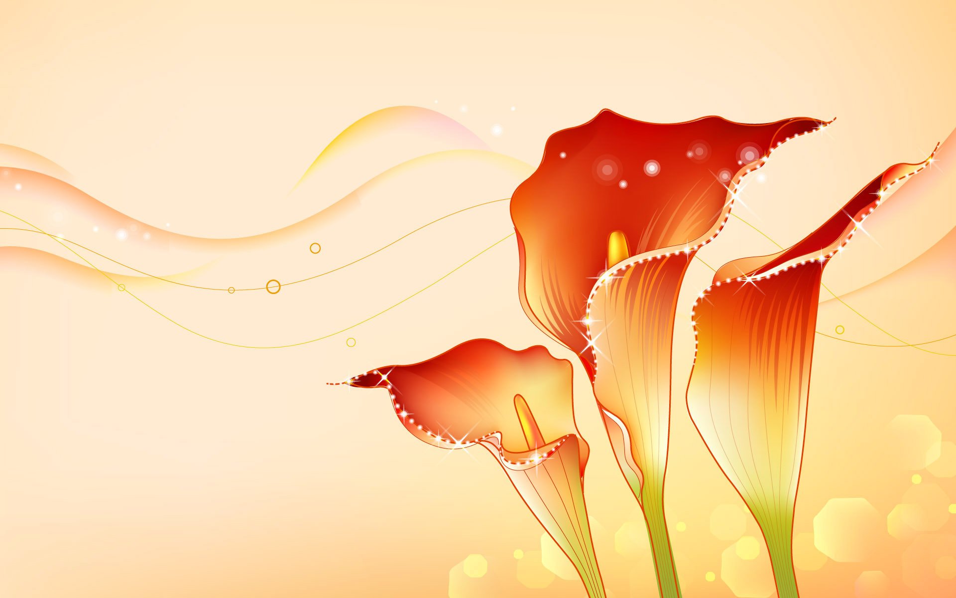 fleurs calla carte postale tige pétales lignes vagues