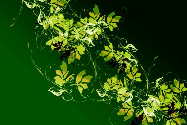Patrones de plantas sobre fondo verde