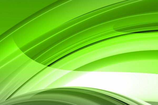 Lignes et arcs de feu vert