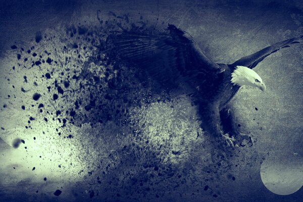 Der Adler fliegt in die Freiheit