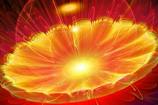 Astrazione in un fiore di colore brillante