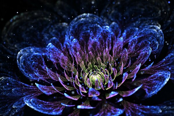 Petali astratti del crisantemo in formato 3D