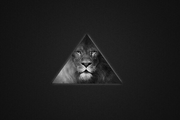 A lion in a triangle in gray tones