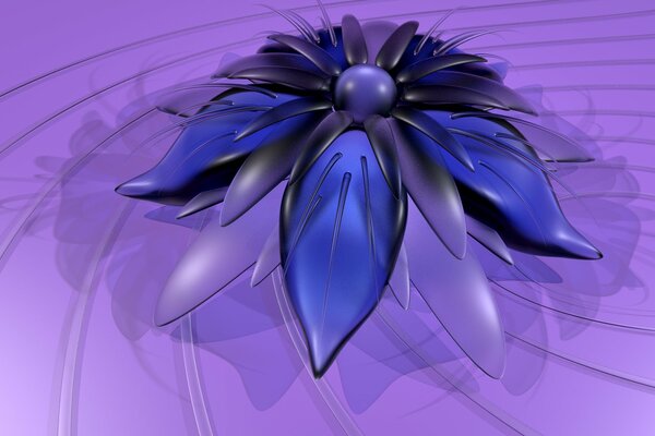 Fiore con petali per desktop