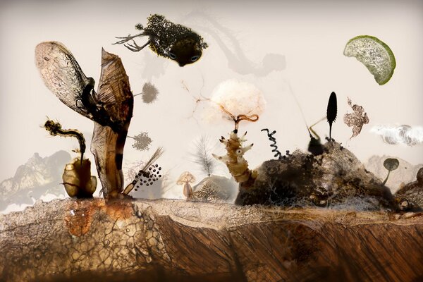 Paysage pour un film d animation