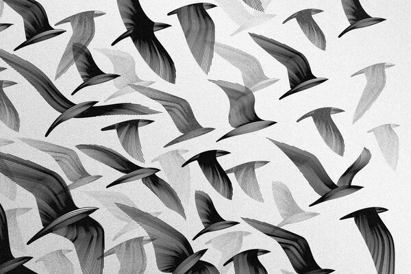 Uno stormo di uccelli vola a sud