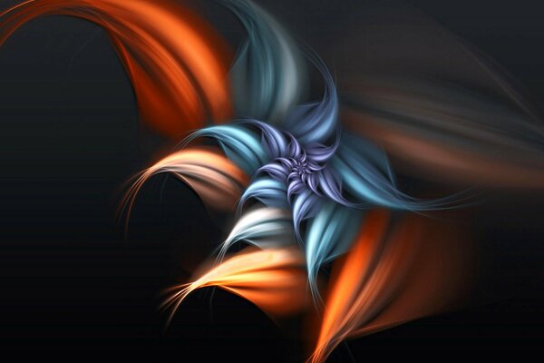 Unusual flower petals in a combination of color shades