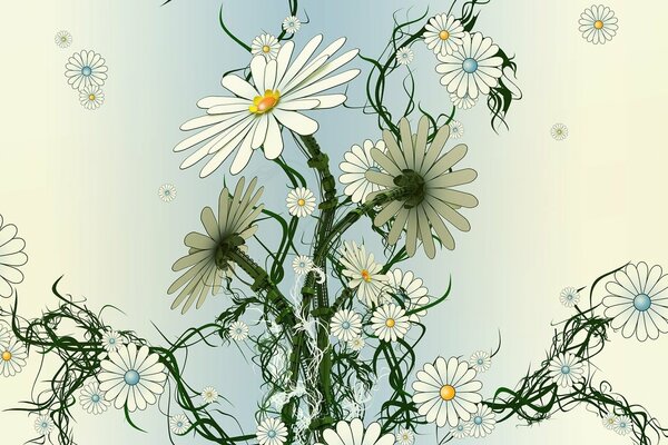 An impressive collage of romaki flowers