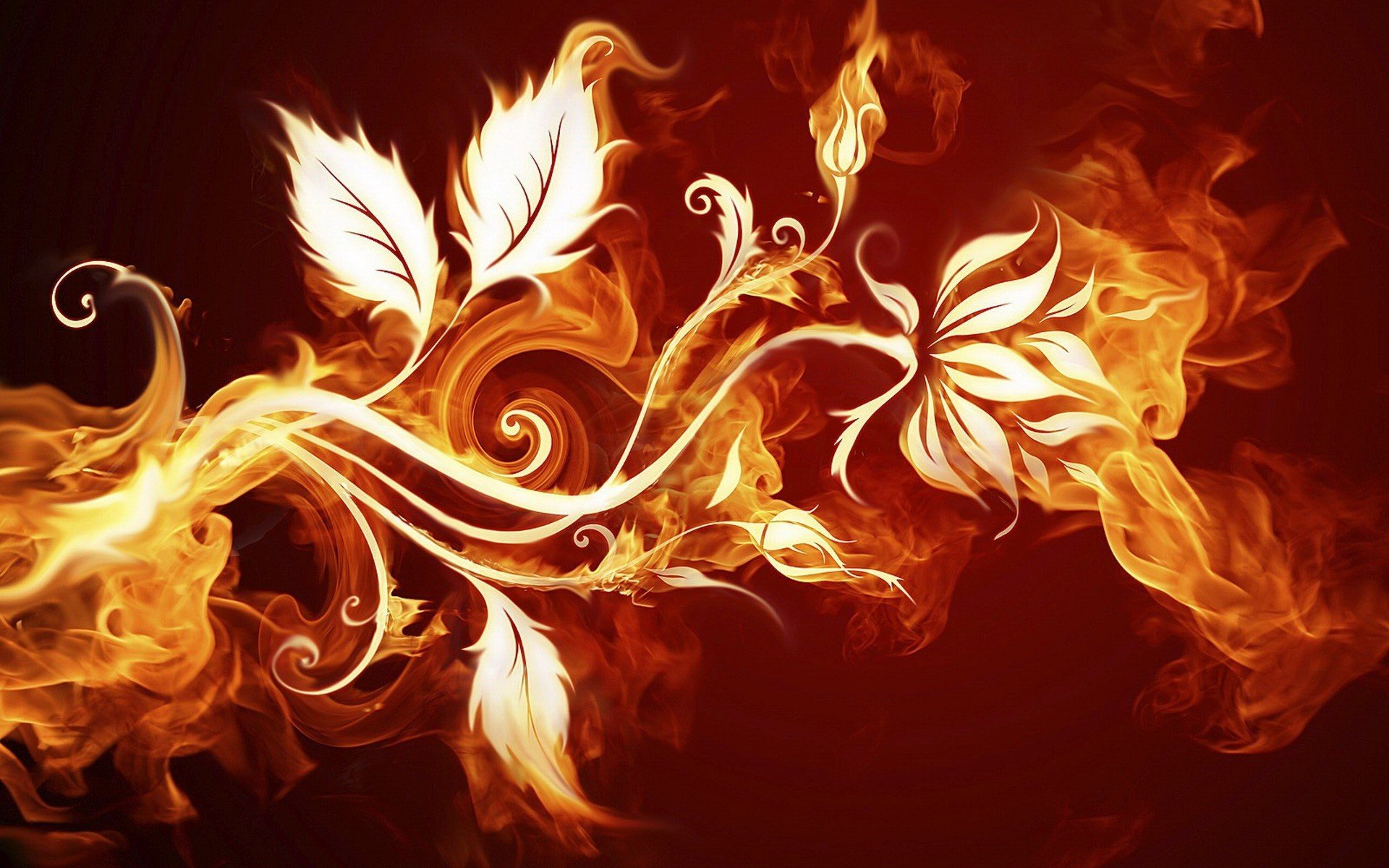 fire flower petal