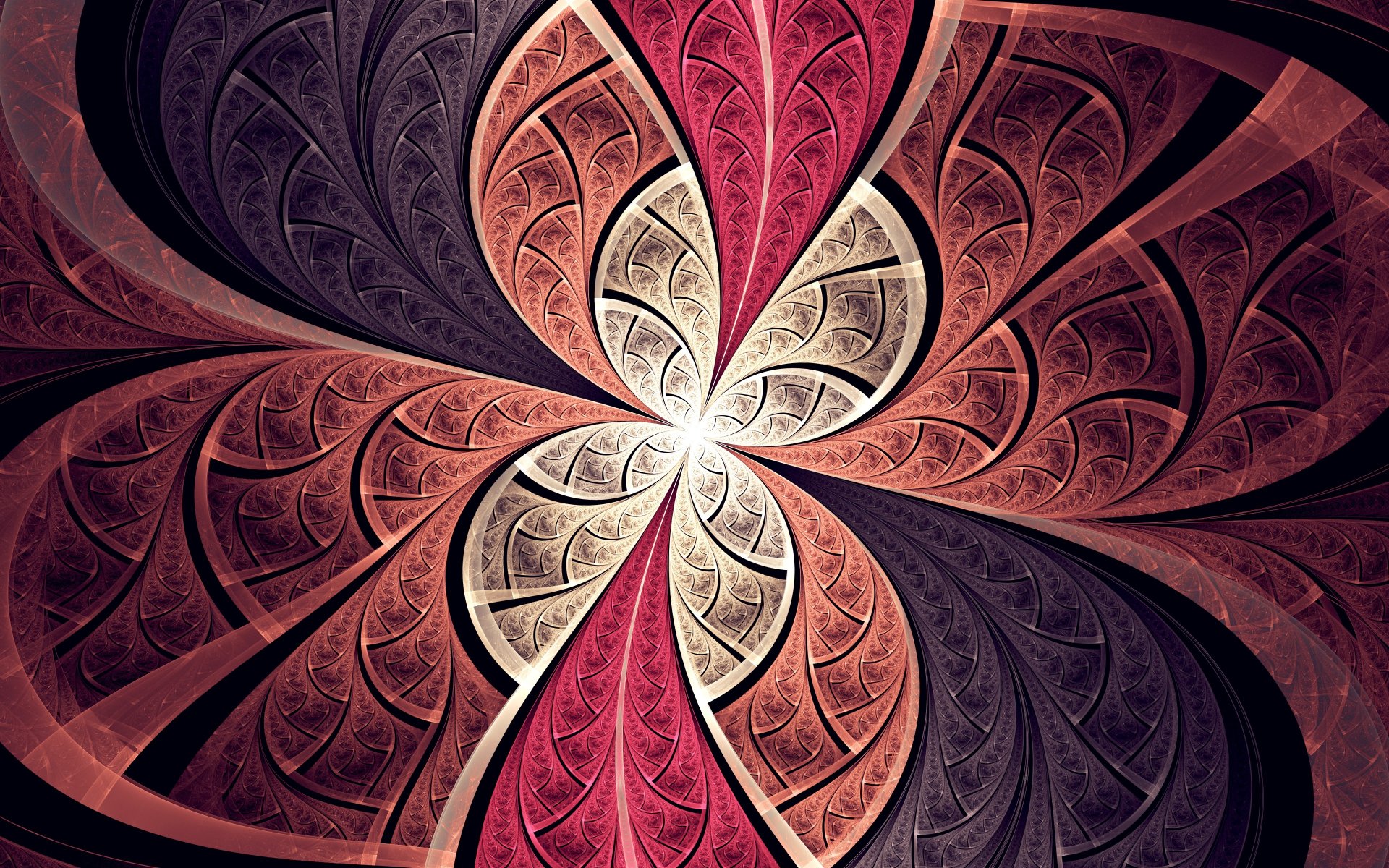 pattern background line petal