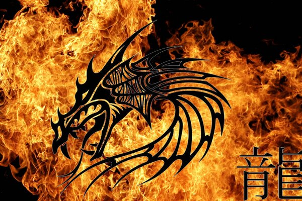 Chinese dragon symbol on the background of fire