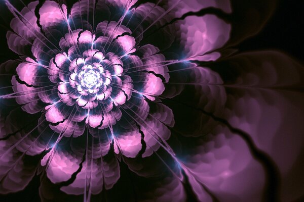 Blooming purple flower, art art
