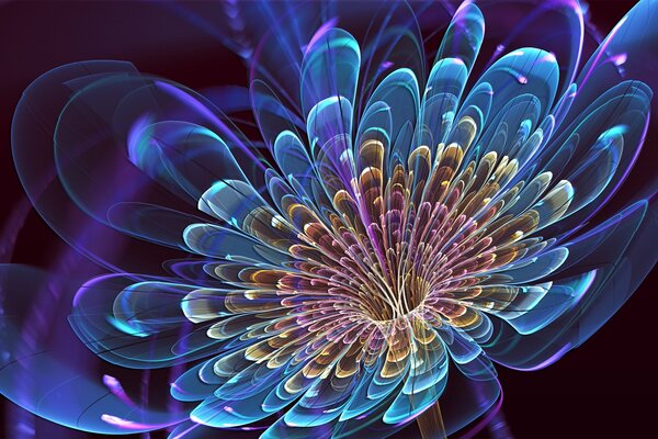 Art flower with colorful petals