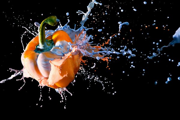 Yellow pepper in splashes of colors on a black background