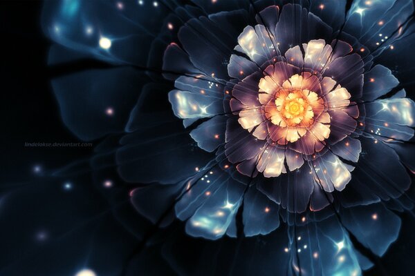 Abstract flower on a black background