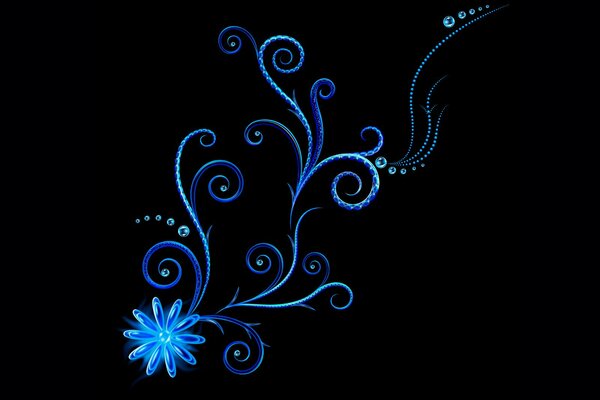 Vector flowers on a black background