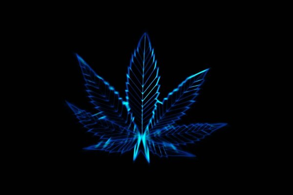 Leuchtendes Blatt Marihuana auf schwarzem Hintergrund
