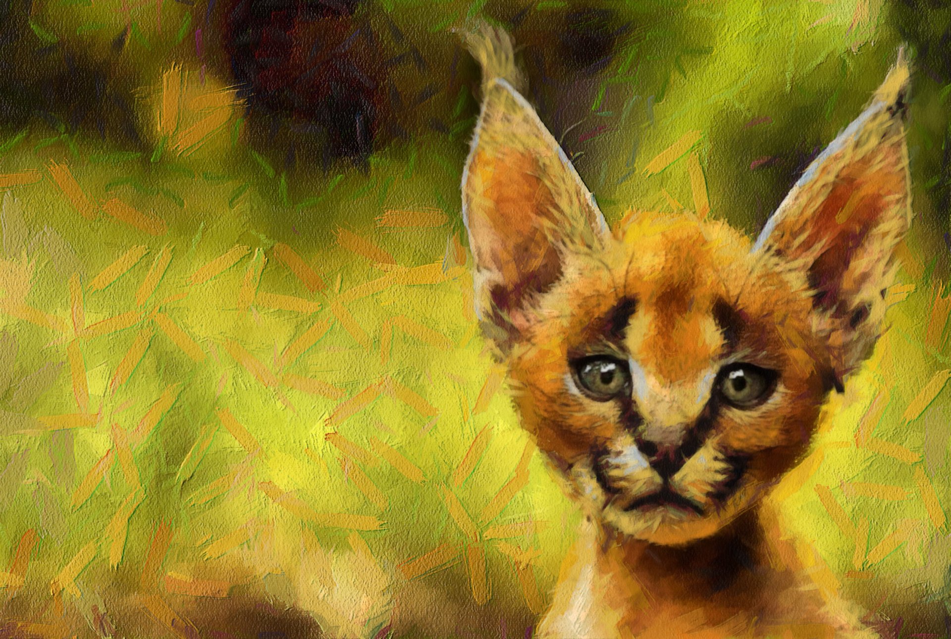 caracal museruola sfondo