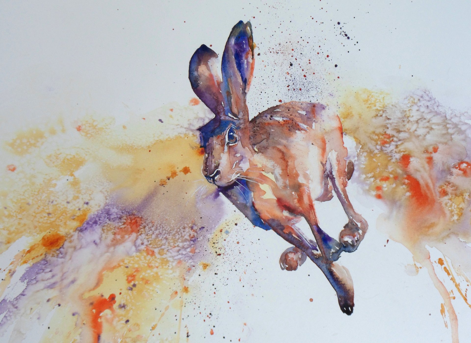 hare jumps style watercolor