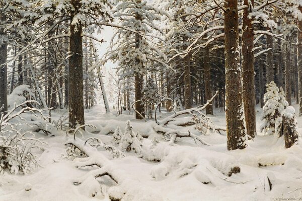 Dessin de la nature d Ivan Shishkin