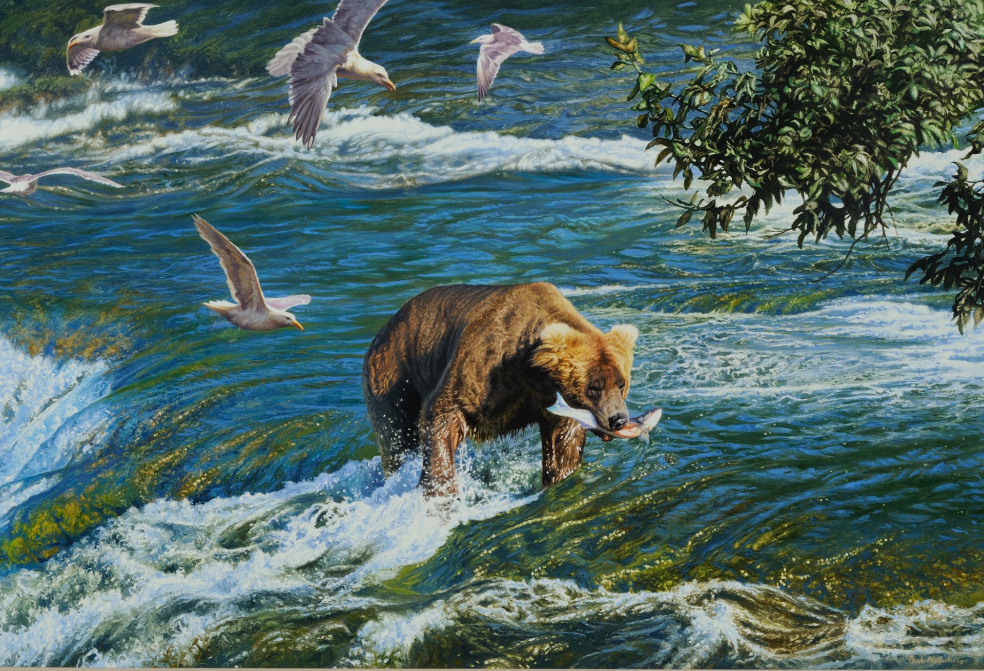 pintura río aves oso caza