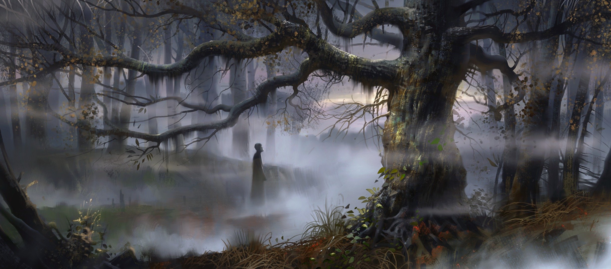 forest fog art man russia swamp tree