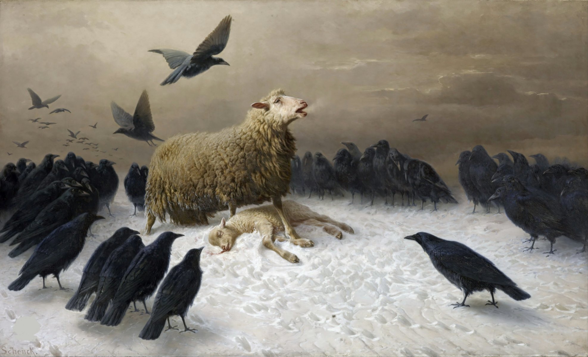 august friedrich schenck pain sheep lamb raven death lo