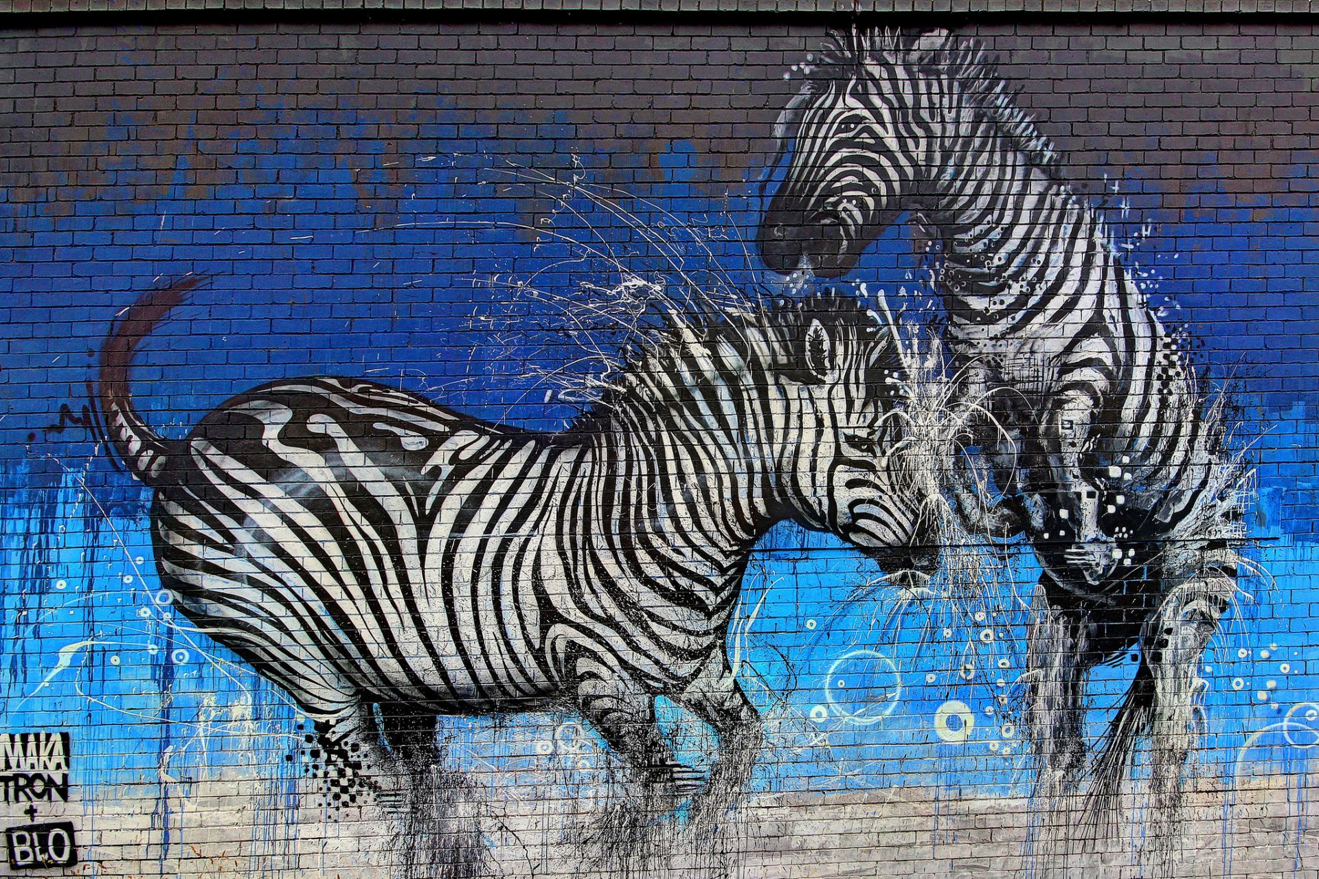 graffiti wand farben zebras