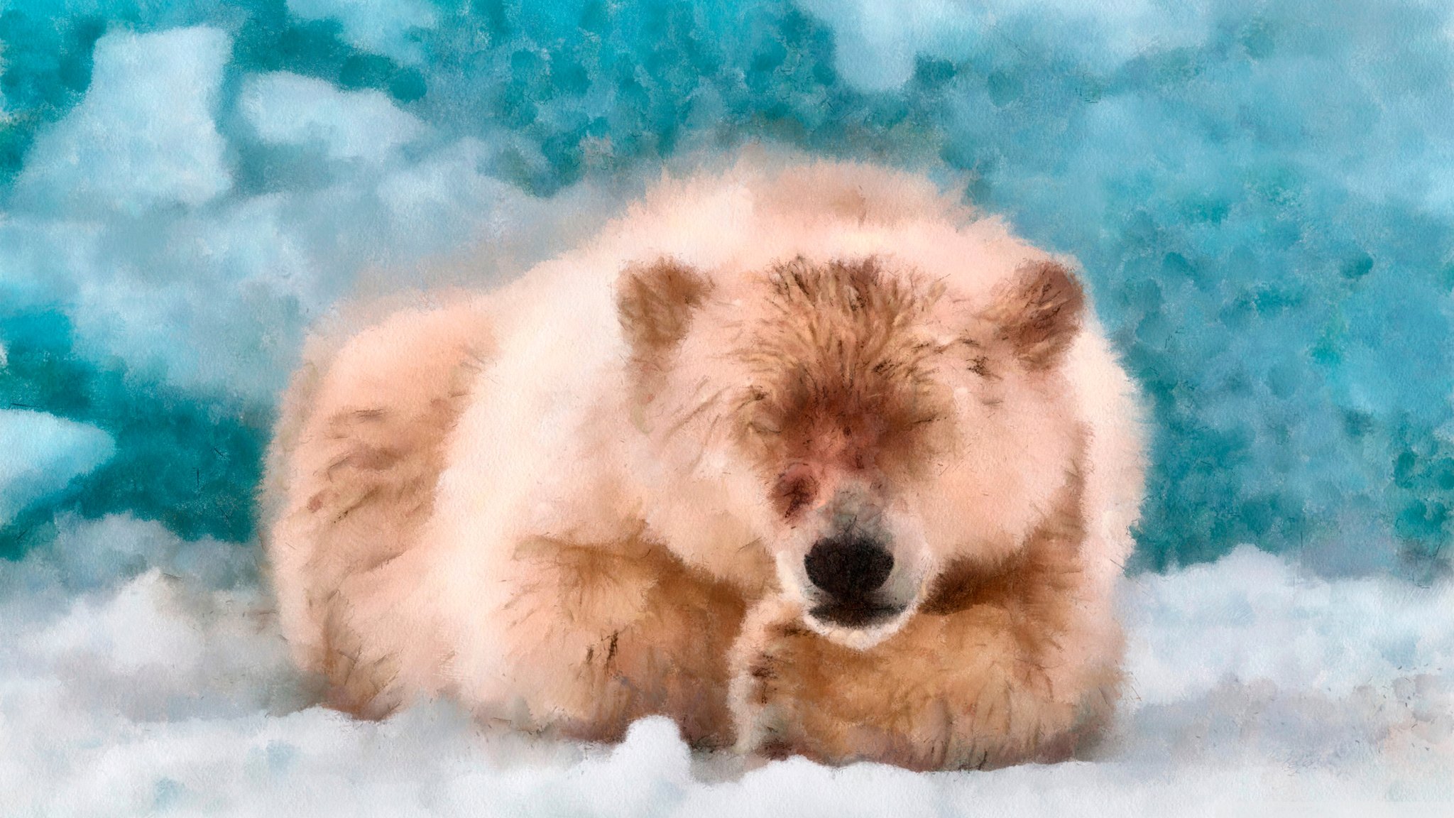 malerei zeichnung bär winter schnee eis