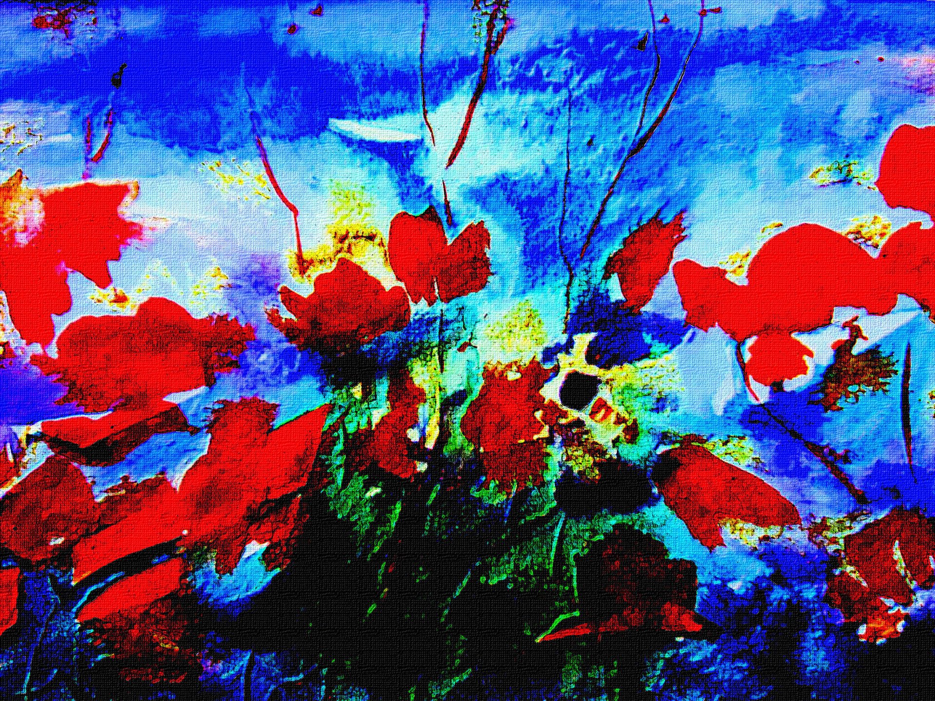 dessin fleurs rouge fond bleu