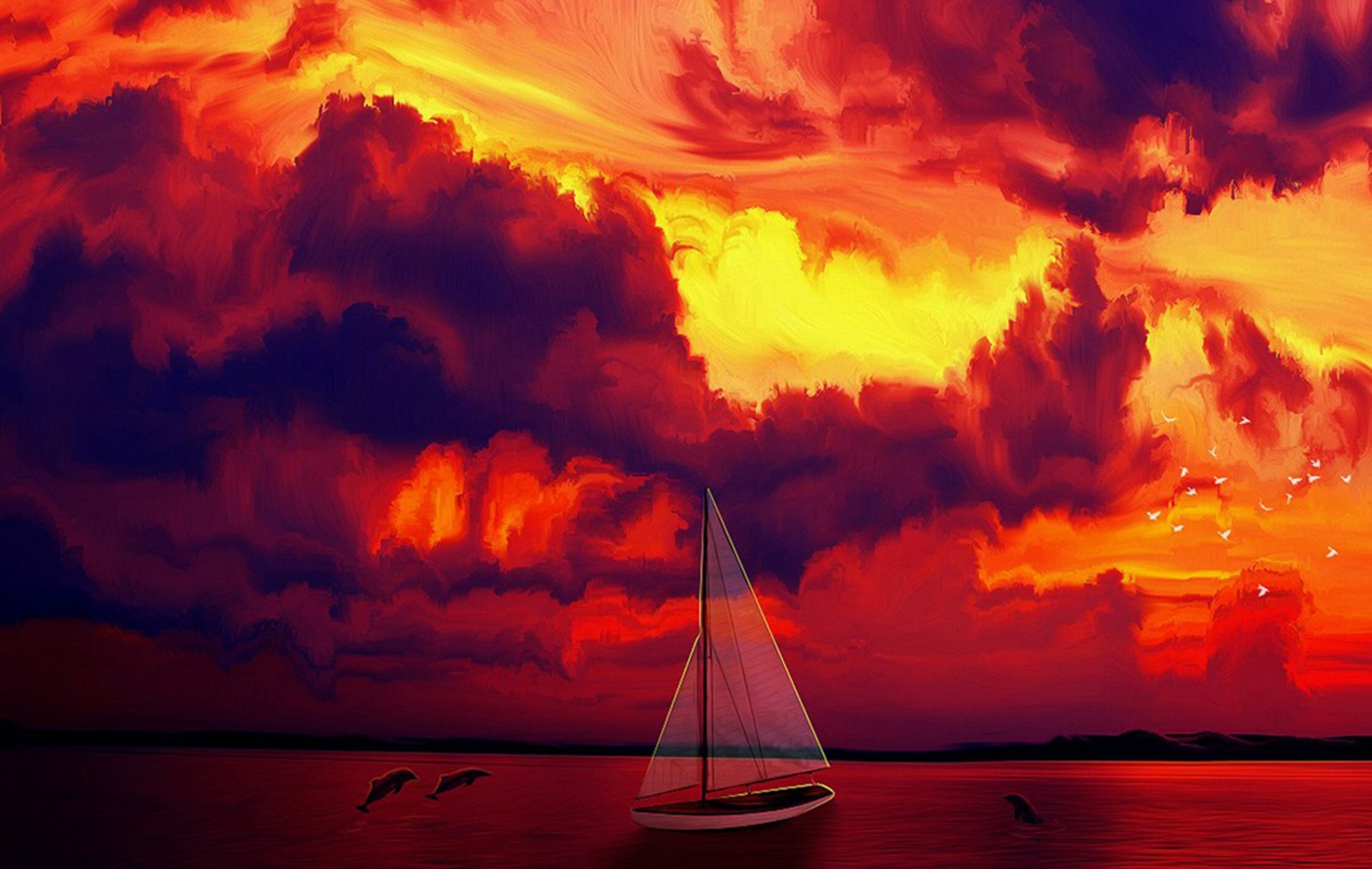 unset sailing boat dolphins bird