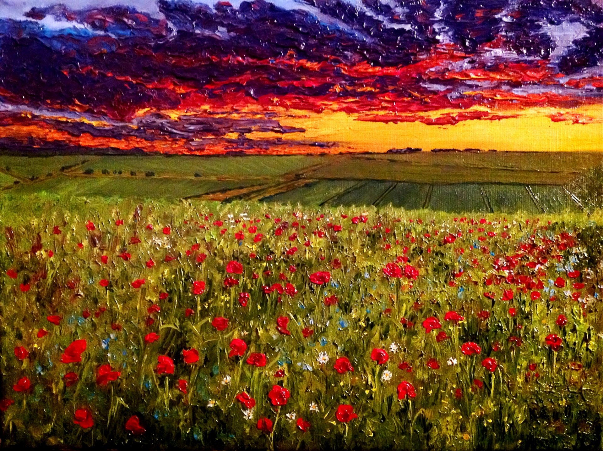 pattern evening sky over poppy field canvas oil the artist o.kats