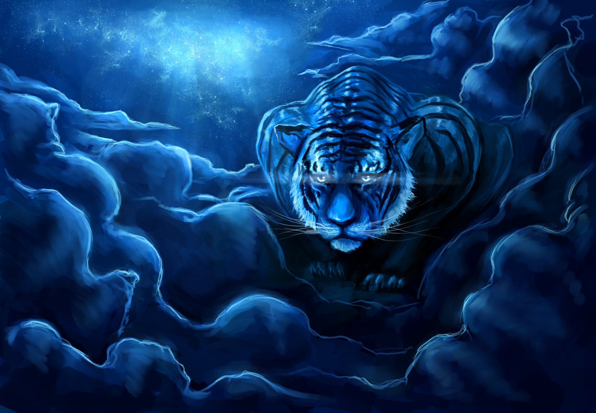 arte zepher234 tigre cielo notte