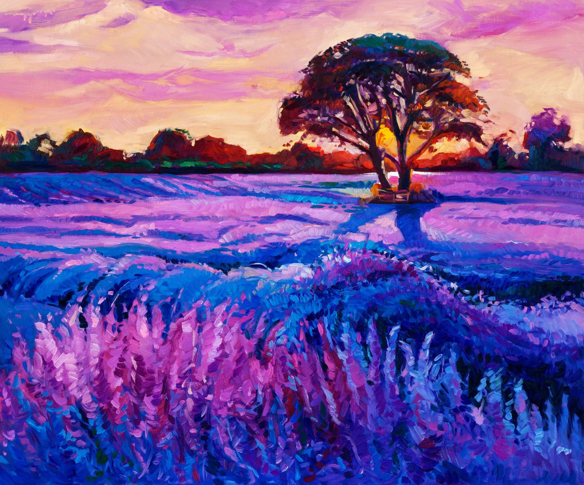 painting beauty sunset sky nature flower tree