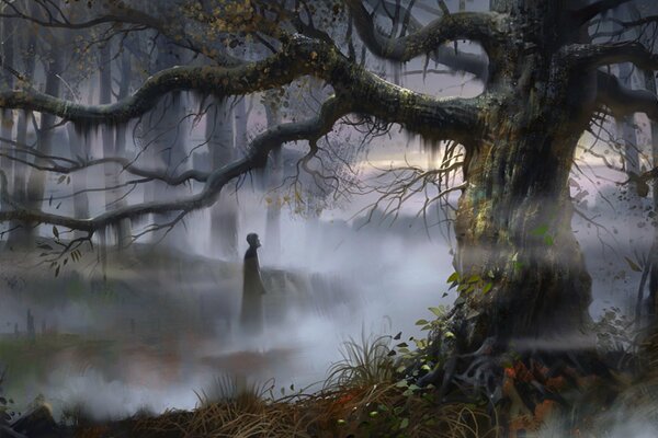 A man stands in a thick twilight fog among branching trees