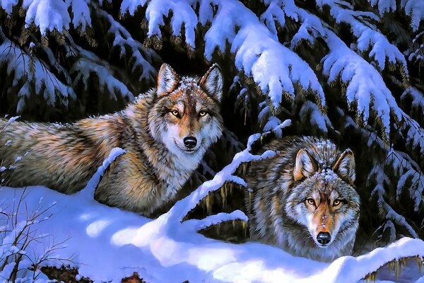 Два волка среди зимней красоты