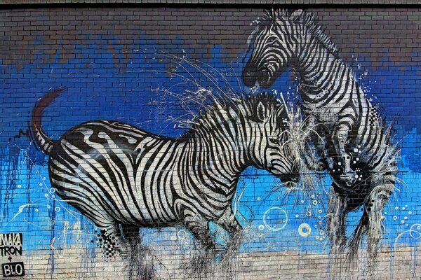 Граффити резвящиеся зебры на стене
