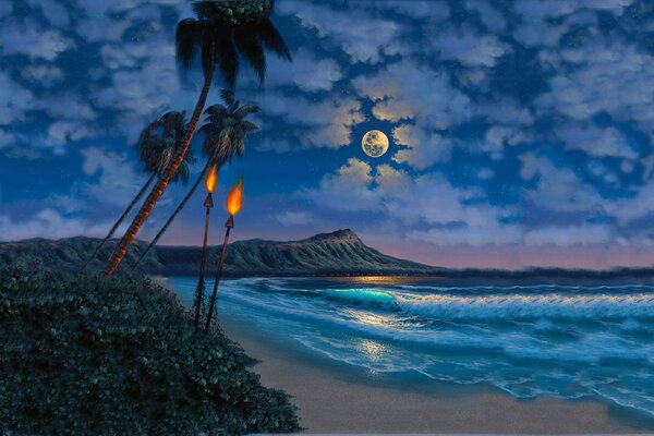 The beach on a moonlit night . A torch is burning on the beach