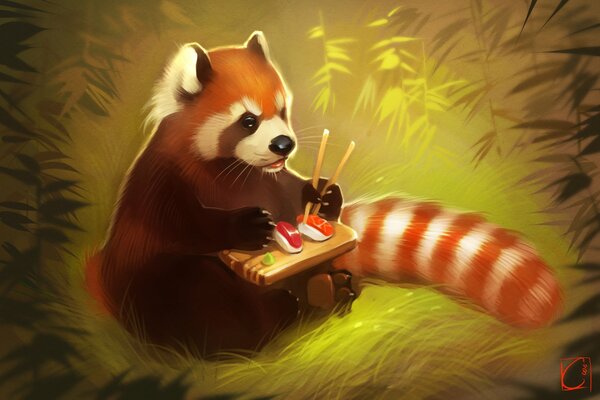 Красная панда за завтраком суш