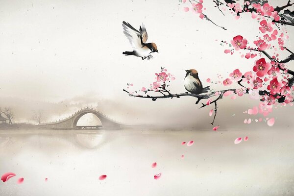 Uccelli su un albero di Sakura in primavera
