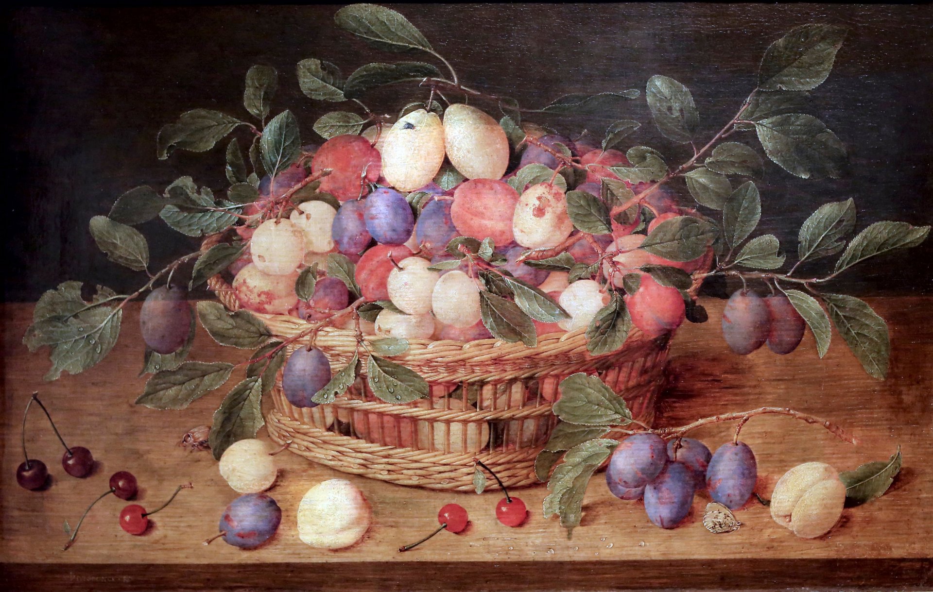 jacques van hulsdonck antwerp basket of plums and cherrie